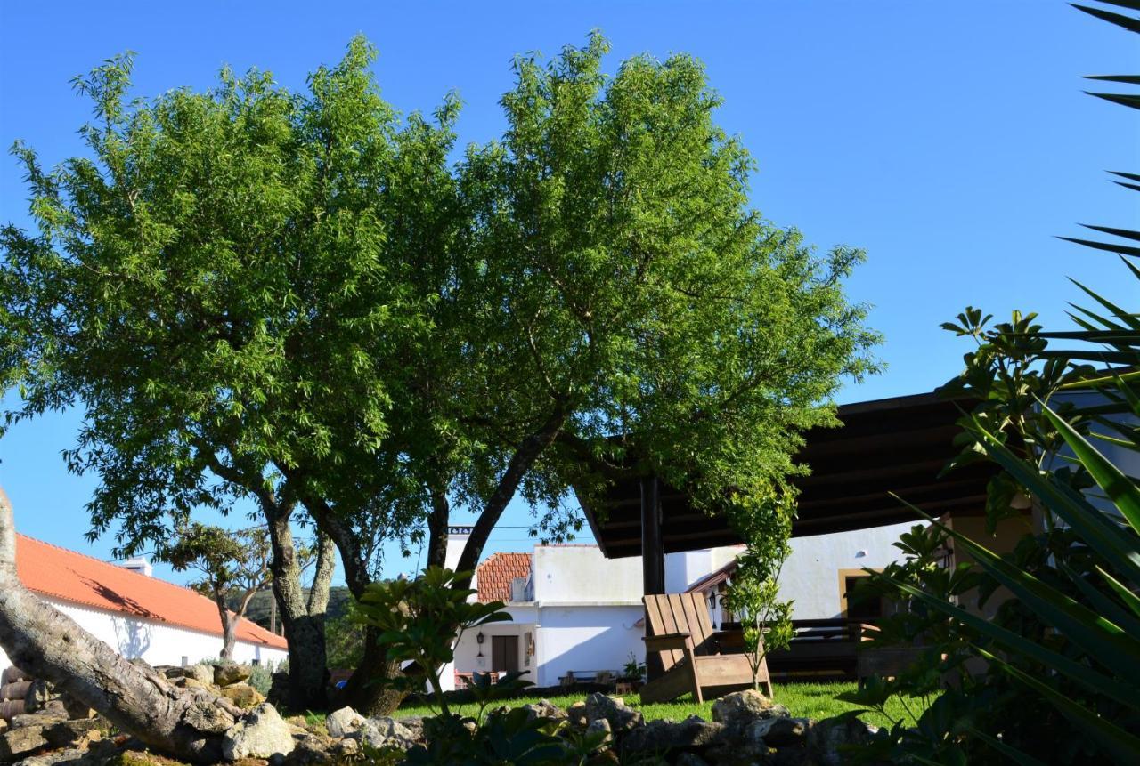 Quinta Do Tio Viagem Vila Quinta do Anjo Exterior foto